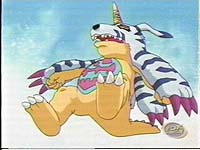 Gabumon K-O ed!