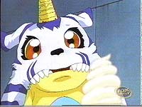 Gabumon gazing at his next meal!!!